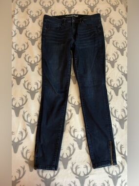 Universal Thread Dark Indigo Stretch Skinny Jeans with Ankle Zip